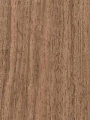 Walnut European veneer